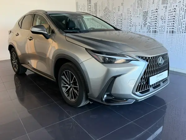 NX 300h